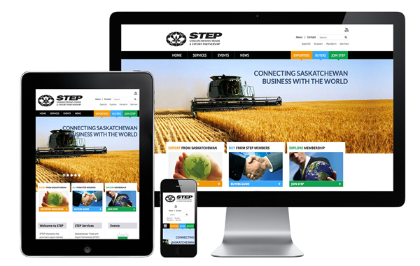 Diseño de Páginas web corporativas en Lima